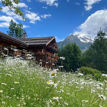 Edelweiss Yoga Chalet *